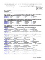 Đề thi thử đại học môn Tiếng Anh (2)