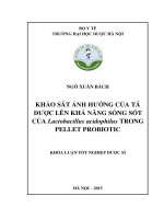 Khảo sát ảnh hưởng của tá dược lên khả năng sống sót của lactobacillus acidophilus trong pellet probiotic