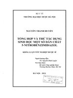 Tổng hợp và thử tác dụng sinh học một số dẫn chất 5 nitrobenzimidazol