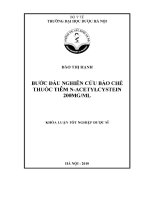 Bước đầu nghiên cứu bào chế thuốc tiêm n   acetylcystein 200 mg ml