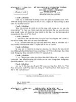 đề học sinh giỏi sử 12 tỉnh bắc giang năm 2010