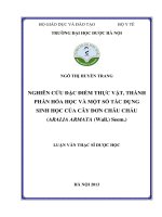Nghiên cứu đặc điểm thực vật, thành phần hóa học và một số tác dụng sinh học của cây đơn châu chấu ( aralia armata (wall )seem )