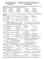 Đề thi thử THPT quốc gia môn Tiếng Anh số 300