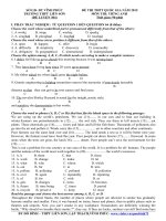 Đề thi thử THPT quốc gia môn Tiếng Anh số 304