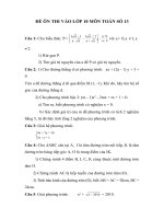 ĐỀ ÔN THI VÀO LỚP 10 MÔN TOÁN SỐ 13