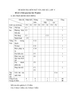 Đề kiểm tra học kì II lớp 9 môn Ngữ văn - Đề 1