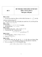 Đề thi HSG môn Toán lớp 12 Cấp huyện - Đề 5