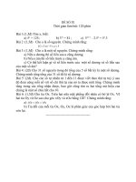 Đề thi thử Học sinh giỏi Lớp 6 môn Toán năm 2013 (8)