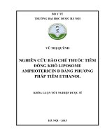 Nghiên cứu bào chế thuốc tiêm đông khô liposome amphotericin b bằng phương pháp tiêm ethanol
