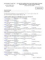 Đề thi thử THPT quốc gia môn Hóa (24)