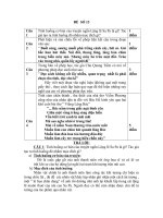 đề ôn luyện ngữ văn tuyển sinh 10, đề số 13