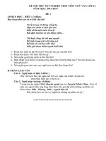 ĐỀ THI THỬ TỐT NGHIỆP THPT MÔN NGỮ VĂN LỚP 12
