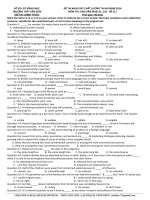 Đề khảo sát chất lượng môn Tiếng Anh lớp 12 ôn thi THPT Quốc gia số 211