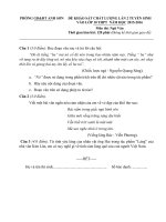 Đề thi ngữ văn lớp 9 vào 10 tham khảo sưu tầm bồi dưỡng ôn thi (33)