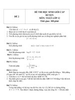 Đề thi HSG môn Toán lớp 12 Cấp huyện - Đề 2