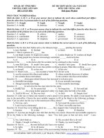 Đề thi thử THPT quốc gia môn Tiếng Anh số 1