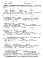 Đề khảo sát chất lượng môn Tiếng Anh ôn thi đại học số 254