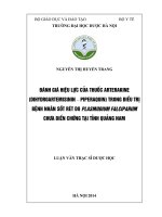 Đánh giá hiệu lực của thuốc arterakine (dihydroartemisinin   piperaquin) trong điều trị bệnh nhân sốt rét do plasmodiumfalciparum chưa biến chứng tại tỉnh quảng nam