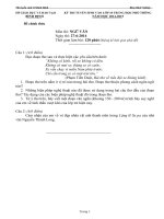 Đề thi ngữ văn lớp 9 vào 10 tham khảo sưu tầm bồi dưỡng ôn thi (29)