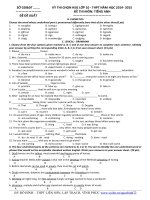 Đề thi học sinh giỏi Tiếng Anh lớp 10 số 12