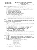 Đề thi ngữ văn lớp 9 vào 10 tham khảo sưu tầm bồi dưỡng ôn thi (30)