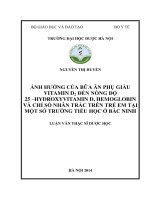 Ảnh hưởng của bữa ăn phụ giàu vitamin d2 đến nồng độ 25, hydroxyvitamin d, hemoglobin và chỉ số nhân trắc trên trẻ em tại một số trường tiểu học ở bắc ninh