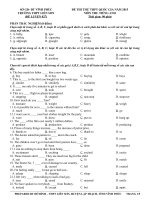 Đề thi thử THPT quốc gia môn Tiếng Anh số 27