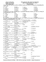 Đề khảo sát chất lượng môn Tiếng Anh ôn thi đại học số 13