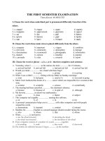 THE FIRST SEMESTER EXAMINATION