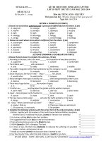 Đề thi học sinh giỏi Tiếng Anh lớp 10 số 26