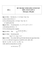 Đề thi HSG môn Toán lớp 12 Cấp huyện - Đề 6