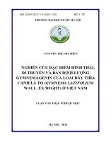 Nghiên cứu đặc điểm hình thái, di truyền và bán định lượng gymnemagenin của loài dây thìa canh lá to (gymnema latifolium wall  ex wight) ở việt nam