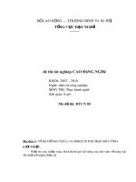 Đề thi tốt nghiệp phần thực hành ngành điện tử công nghiệp cao đẳng nghề đề số  (19)