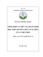 Tổng hợp và thử tác dụng sinh học một số dẫn chất acyl hóa của curcumin