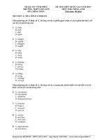 Đề thi thử THPT quốc gia môn Tiếng Anh số 439