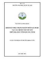 Khảo sát thực trạng nguồn nhân lực dược tại các bệnh viện huyện trên địa bàn tỉnh quảng ninh