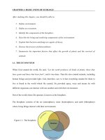 Anh văn chuyên ngành Công nghệ môi trường