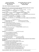 Đề thi thử THPT quốc gia môn Tiếng Anh số 310