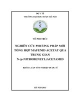 Nghiên cứu phương pháp mới tổng hợp mafenid acetat qua trung gian n (p nitrobenzyl)acetatmid