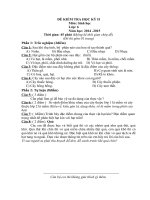 Đề KT HK II có ma trận pisa( Vcao)