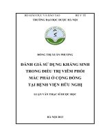 Đánh giá sử dụng kháng sinh trong điều trị viêm phổi mắc phải cộng đồng tại bệnh viện hữu nghị