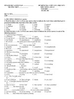 Kiểm tra 1 tiết tiếng Anh lớp 11 HKI