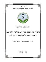 Nghiên cứu bào chế pellet chứa hệ tự vi nhũ hóa rotundin