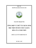 Tổng hợp và thử tác dụng sinh học một số dẫn chất alkyl hóa của curcumin
