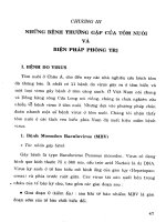 Ebook Những bệnh thường gặp của tôm cá và biện pháp phòng trị- Phần 2 - NXB Nông nghiệp