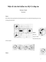 Một số câu hỏi kiểm tra IQ Có đáp án