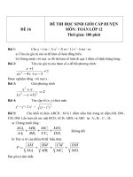 Đề thi HSG môn Toán lớp 12 Cấp huyện - Đề 16