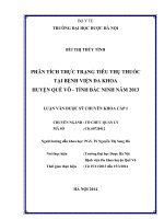 Phân tích thực trạng tiêu thụ thuốc tại bệnh viện đa khoa huyện quế võ, tỉnh bắc ninh năm 2013