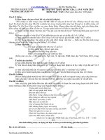 Đề thi thử THPT Quốc gia môn Văn chuyên Đại học Vinh lần 1 năm 2015