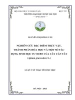 Nghiên cứu đặc điểm thực vật, thành phần hóa học và một số tác dụng sinh học invitro của cây cần tây
